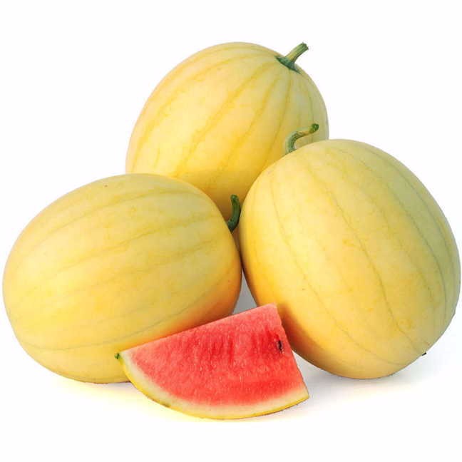 Wholesale China Seedless Watermelon Seeds Manufacturers Suppliers –  Flesh Hybrid F1 Watermelon Seeds Yellow Red Rind YB No.1  – Shuangxing