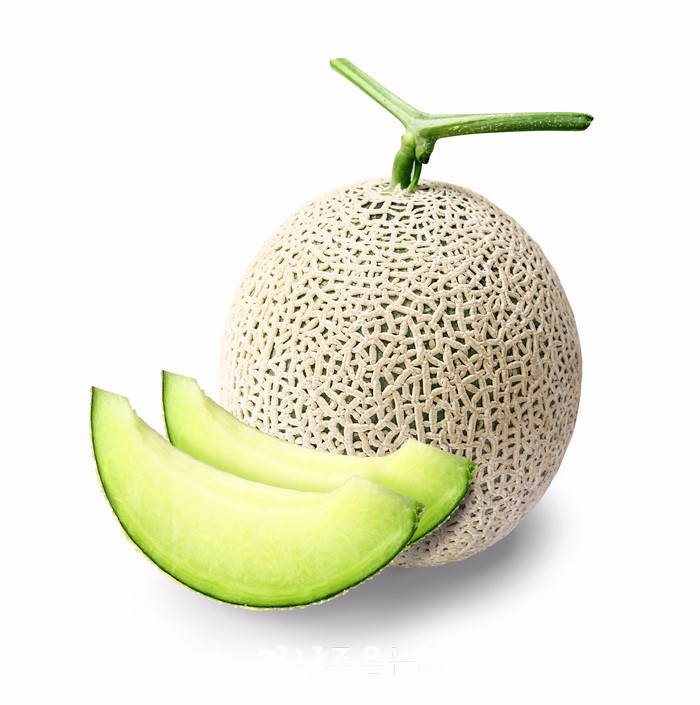 Wholesale China Black Watermelon Seeds Factory –  Hot Sale High Quality Melon Seeds Kernel  – Shuangxing