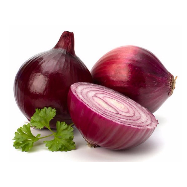 Wholesale China Onion Seeds Red Manufacturers Suppliers –  Chinese hot sale harvest quality vegetable hybrid red onion seeds  – Shuangxing