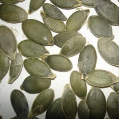 Wholesale China Pumpkin Green Seeds Factory –  Planting vegetable seeds hybrid pumpkin seeds for sale  – Shuangxing