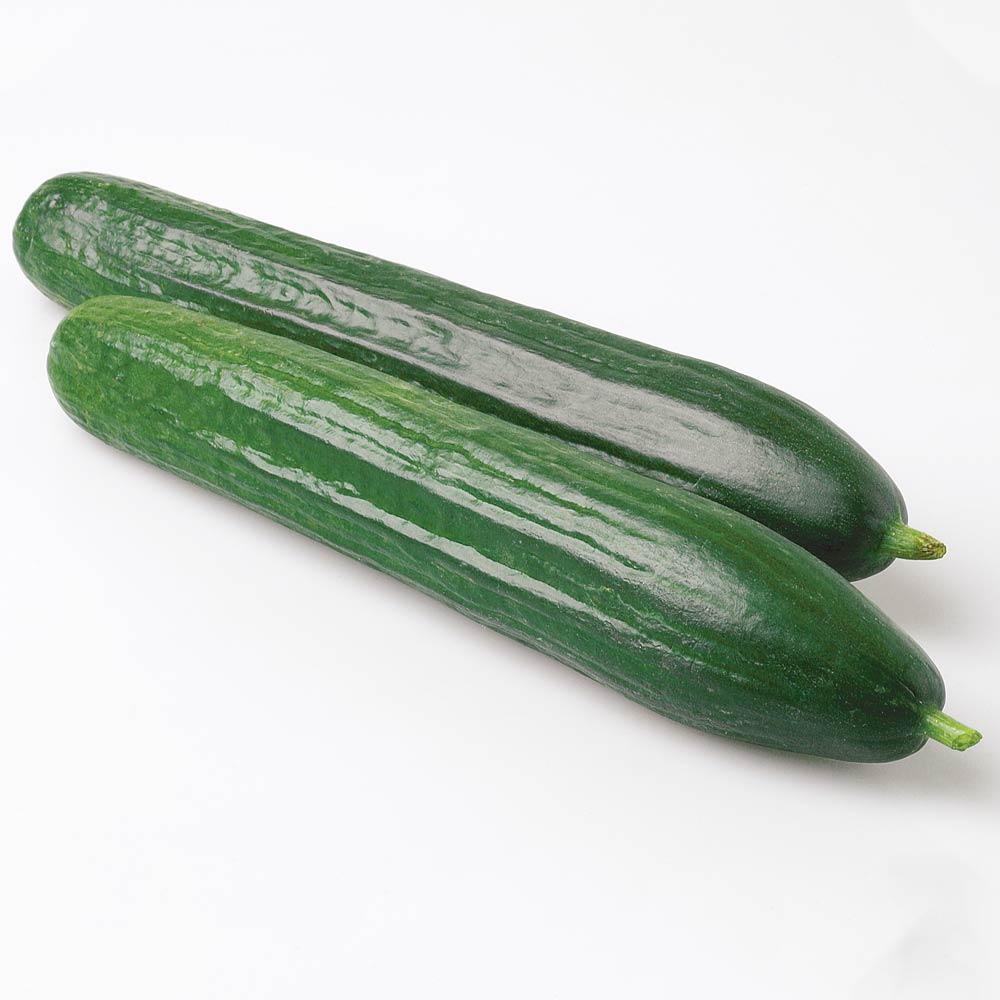 Hot sale hybrid vegetable seeds short cucumber seeds for growing