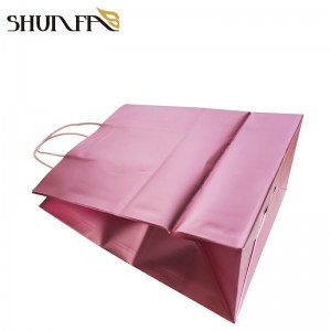 Pink Color Print Fashion Pouch Shopping Paper Carrier Gift Takeaway Packing Bag