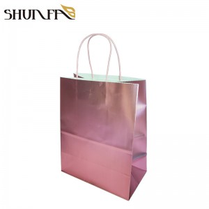 Pink Color Print Fashion Pouch Shopping Paper Carrier Gift Takeaway Packing Bag