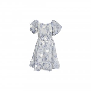 Chiffon Floral Puffy Sleeves Parent-Child Dress