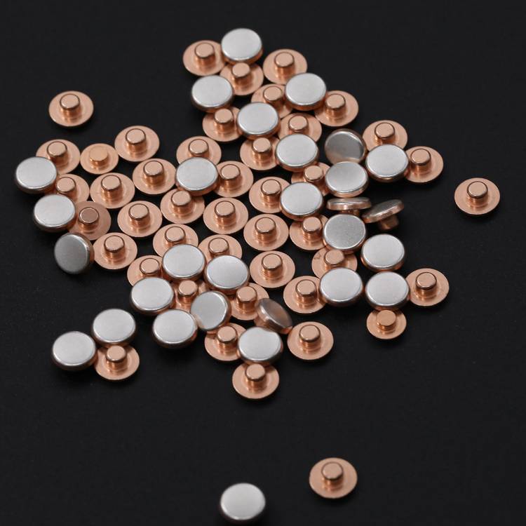PriceList for Solid Round Head Rivets - Bimetal Contact Rivet – ZHJ detail pictures