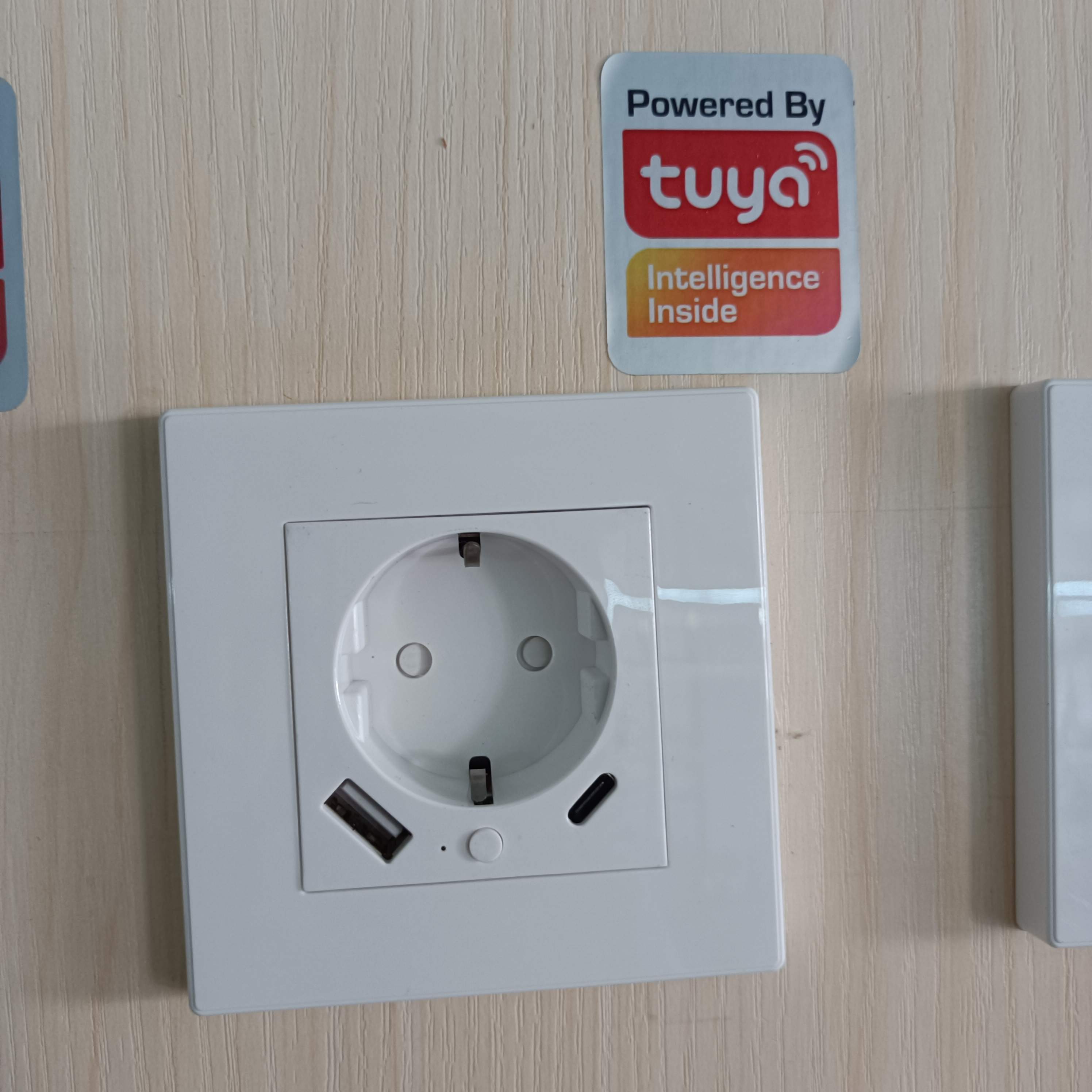 https://www.simatoper.com/tuya-wifi-smart-in-wall-socket-with-2-usb-ports-type-a-type-c-10a-or-16a-eu-plug-product/