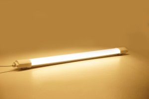 Selectable Color Temperature IP20 Batten Light with SAA Certification