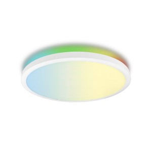 3CCT and RGB adjustable Tuya Smart Ceiling light