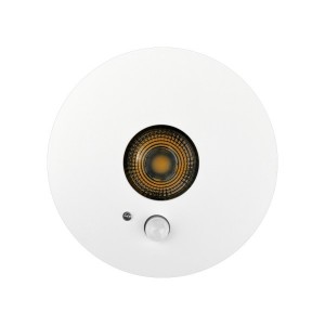 10W Die-casting Aluminum  surface mounted downlight