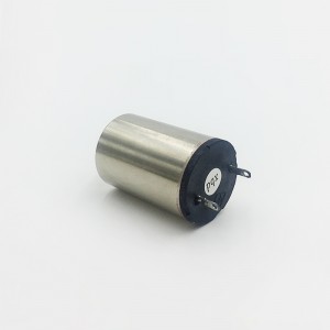 XBD-1928 High quality and reliable performance DC Brushed Coreless Motor for steering servo robots and Spectrophotometers