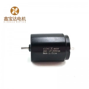 XBD-2431 24v small volume and high speed electric motor coreless brush dc motor for rotary tattoo machine