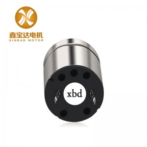 XBD-1524 brushed dc motor applications coreless dc motor thrust 24v dc actuator motor