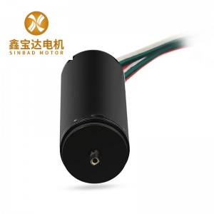 Sinbad 22mm Micro Brushless DC Motor 12v DC Motor For Electric Curtain 2245