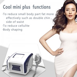 Portable Fat Freezing Cryolipolysis Machine double chin removal
