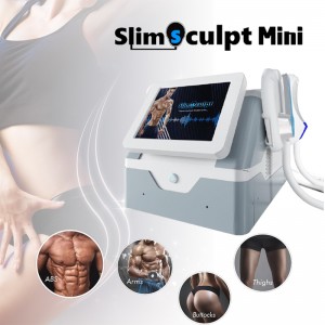Hot sale Laser Alexandrite Diode - portable magnetic portable ems muscle stimulator fat loss slimming – Sincoheren