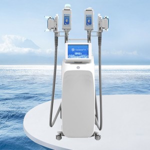 Best quality Cryolipolysis Fat Freezing Machine - crioliopolisis to reduce measures – Sincoheren