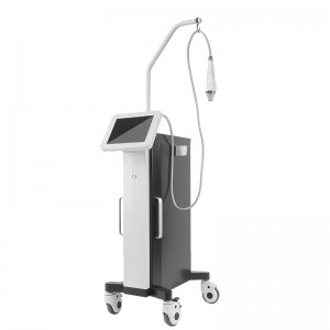 China Cheap price Rf Beauty Machine - Fractional RF Micro Needling For Stretch Marks – Sincoheren