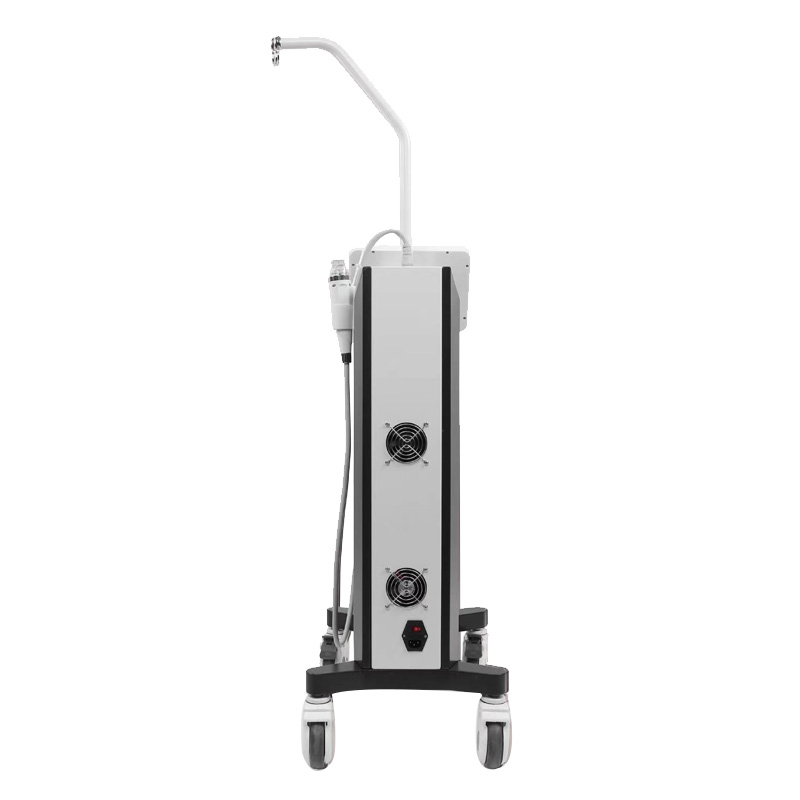 High Quality Fractional Rf Microneedle Machine - Gold micro needle RF machine – Sincoheren
