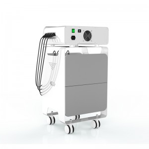 PriceList for Face Rejuvenation Machine - Sports physiotherapy – Sincoheren