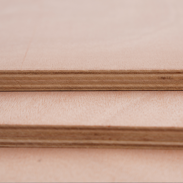 18mm Okoume Bintangor Sapele Pencil Cedar Plywood Commercial Plywood