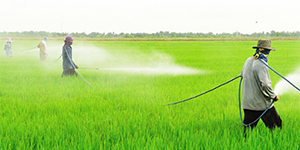 A Comprehensive Review Of The “Glyphosate Export” Matters
