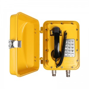 Industrial Heavy Duty Voip Explosionproof Telephone for Oil Refinery-JWBT820