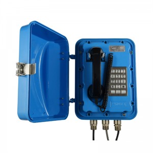 Industrial Voip Sip Explosionproof Telephone with Flash Light and Horn Loudspeaker for  Mining-JWAT903