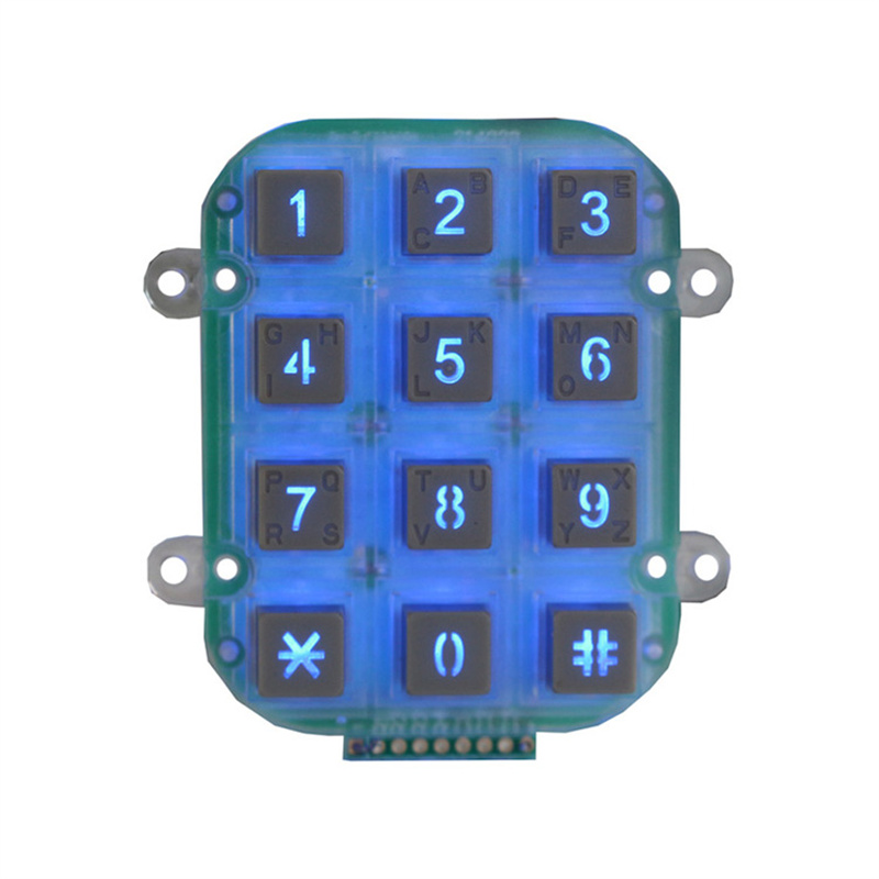 Plastic material keypad for access control system with LED backlight B202 Featured Image