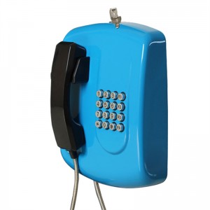 Cold Rolled Steel Emergency Public Telephone For School-JWAT204