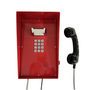 Tööstuslik külmvaltsitud terasest välistingimustes IP66 ilmastikukindel telefon – JWAT316P