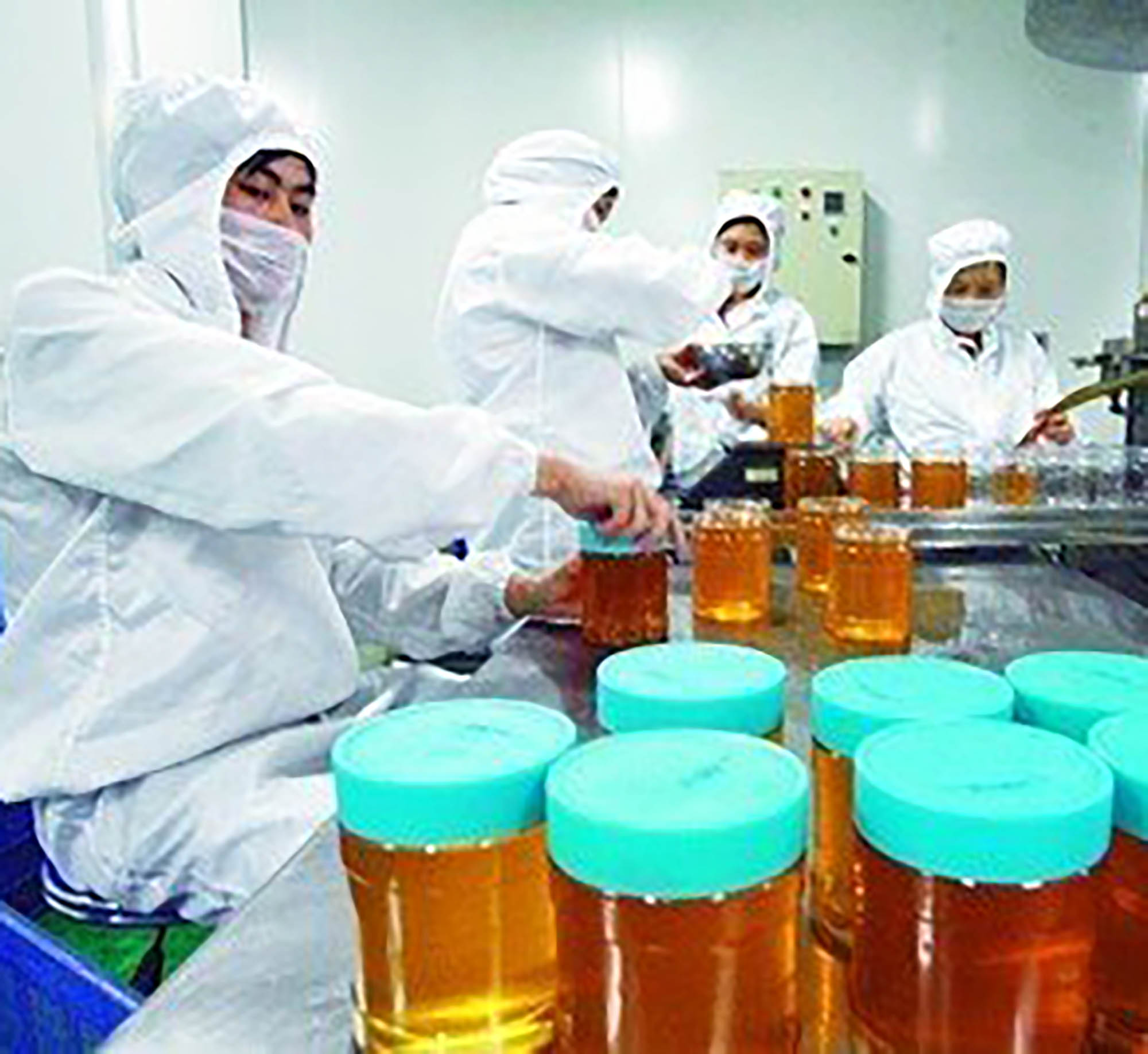 Application of scraper heat exchanger in honey processing