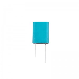 5.4V 1.0F Super Capacitor Modules With Resistor Epoxy-Filled