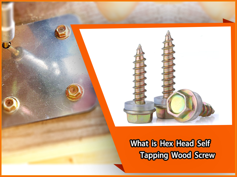 What is Hex Head Self Tapping Wood Screw?
