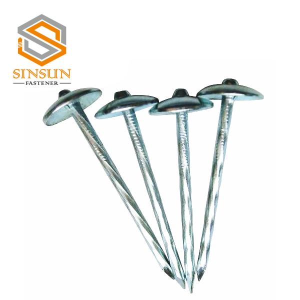 Wholesale Big Head Galvanized Clout Nails Manufacturer and Supplier |  Shengli