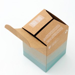 سفارشی سازی دسته ای جعبه های بسته بندی کاغذ کرافت طبیعی