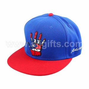 Custom Made Hip Hop Snapback Hats