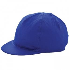 China Wholesale High Quality Hat Factories - 4 Panel cap-cotton – Rongdong