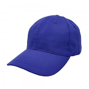 Navy Blue Cotton 6 Panel Unisex Custom Baseball Caps and Hats RD-601