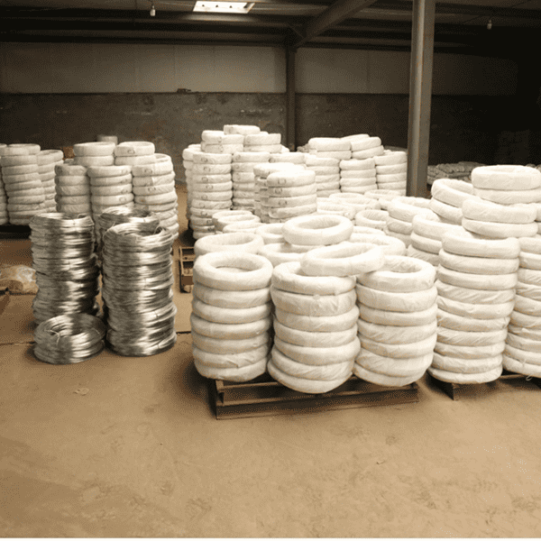China Factory for Steel Wire -  Electro Galvanized wire  – Sunshine