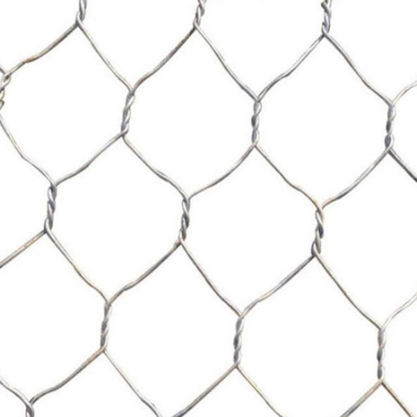 China Hard Drawn Bright Twisted Nail Wire Manufacturers - hex wire mesh – Sunshine