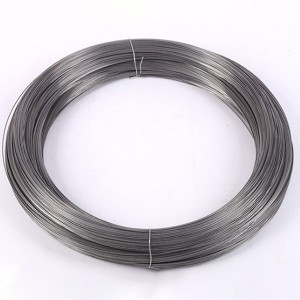 Professional Design Pvc Hexagonal Wire Netting - black wire – Sunshine