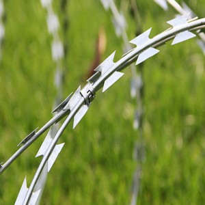 Wholesale Discount China High Quality Anti-Climb Galvanized Concertina Razor Barbed Wire for Security