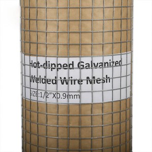 galvanized welded wire mesh