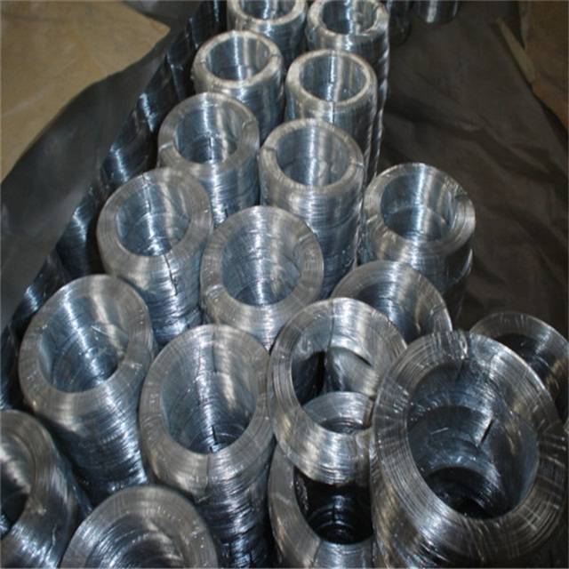 Special Price for Pvc Coated/Black - Electro Galvanized wire  – Sunshine