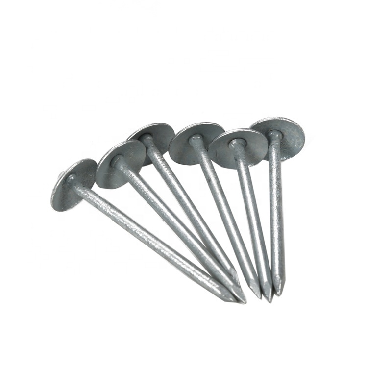 Galvanized Twisted Shank Clout Roofing Nail - China Roofing Nail, Clout Nail  | Made-in-China.com