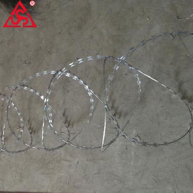 Paintball Field Netting - Hot dipped spiral razor barbed wire price – Sunshine