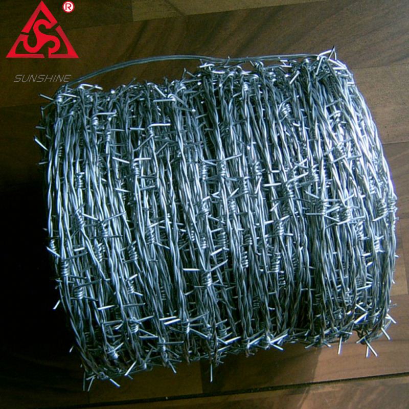 Cheap price concertina razor barbed wire on the wall