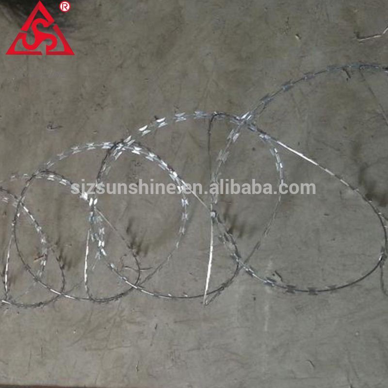 Professional China Fencing Net Iron Wire Mesh - Hot dipped galvanized razor barbed wire philippines mesh – Sunshine