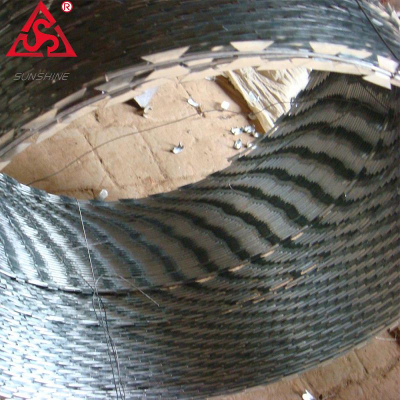 Cheapest Factory Metal Wire Mesh - Galvanized razor barbed wire fence for hot sale – Sunshine