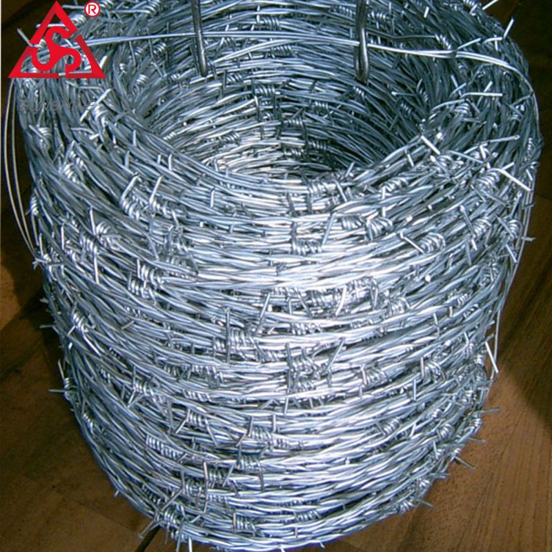 China Hard Drawn Bright Twisted Nail Wire Manufacturer - Electro galvanized razor barbed wire fencing – Sunshine